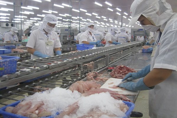 Thuế xuất khẩu cá tra Việt Nam vào Mỹ đã “dễ thở” hơn
