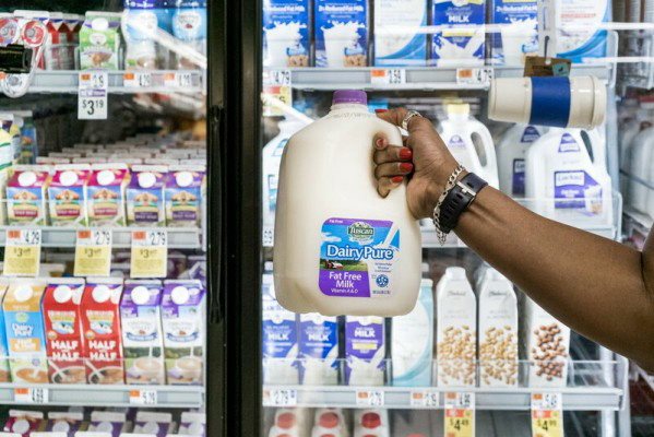 Công ty sữa lớn nhất Mỹ xin phá sản và xu hướng giảm tiêu dùng sữa bò