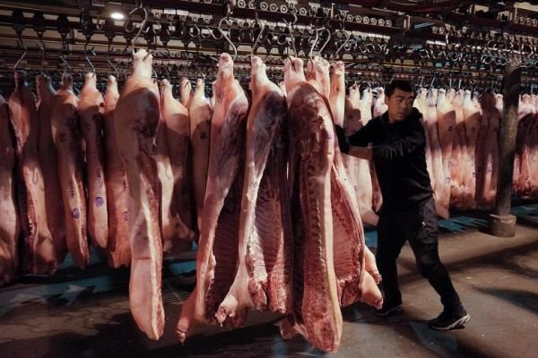 Khủng hoảng thịt heo ở Trung Quốc có dấu hiệu hạ nhiệt