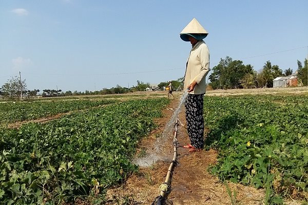 Thủy điện Trung Quốc giảm xả nước, hạn mặn lịch sử sẽ lặp lại?