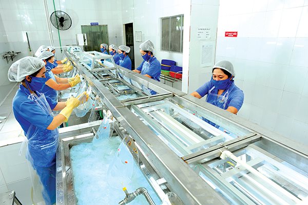 Người đam mê sáng tạo sản phẩm từ dừa Người đam mê sáng tạo sản phẩm từ dừa