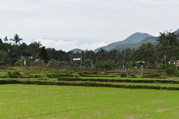 Du xuân đến làng cổ Lộc Yên