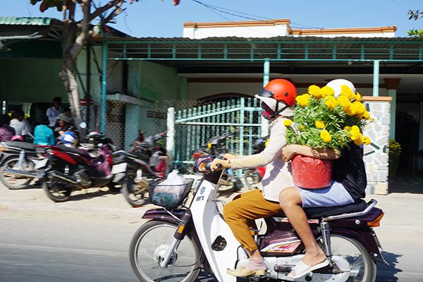 Đón Tết trong âu lo, phải chăng Corona đang 