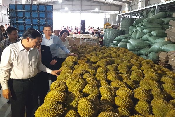 Nông sản khốn đốn vì xuất khẩu “kẹt đường”, trong nước tăng chi phí đông lạnh