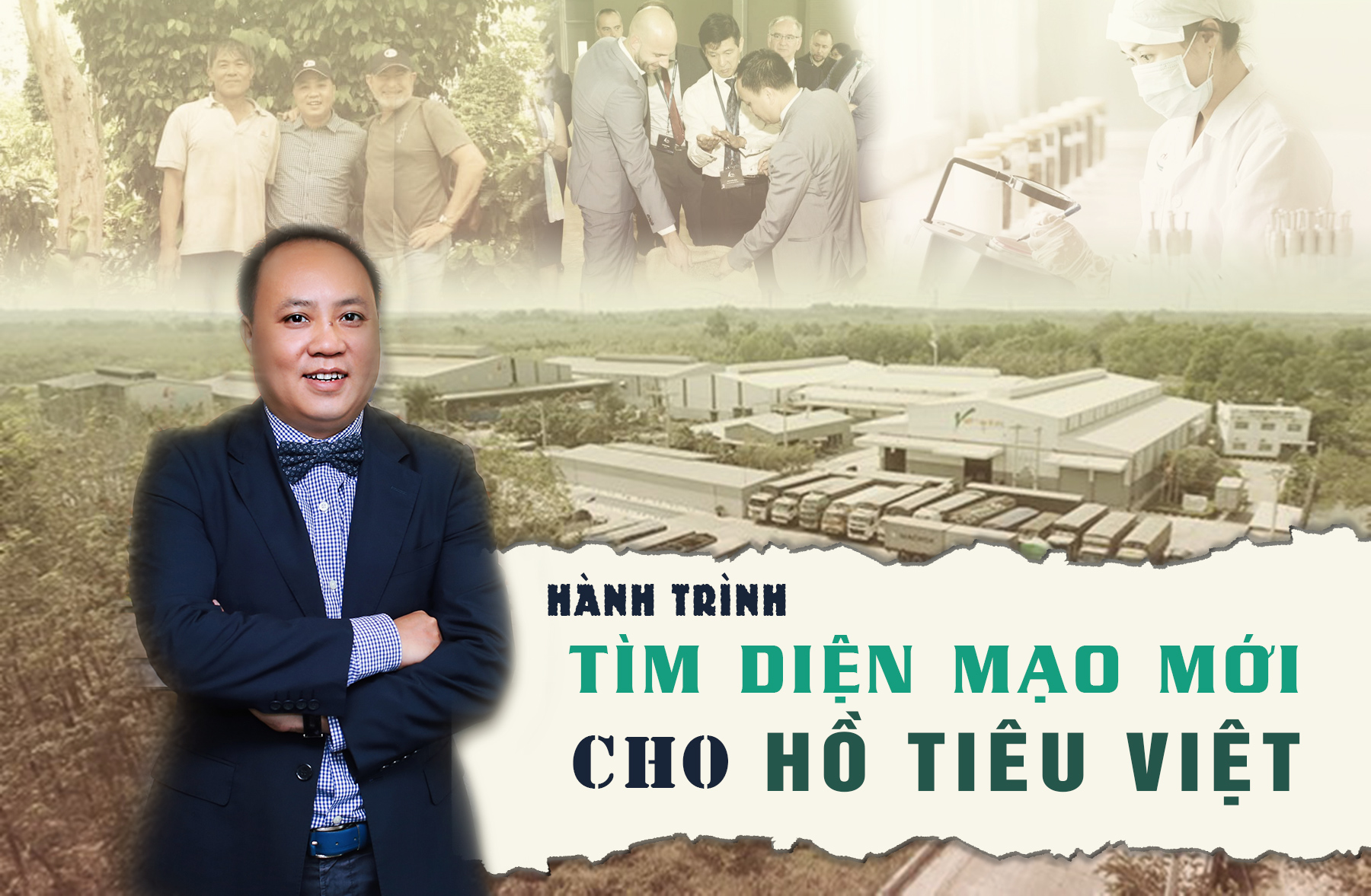 Hành trình tìm diện mạo mới cho hồ tiêu Việt