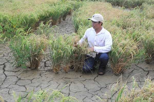 Trung Quốc xả nước thủy điện có 'cứu' ĐBSCL thoát được hạn, mặn?