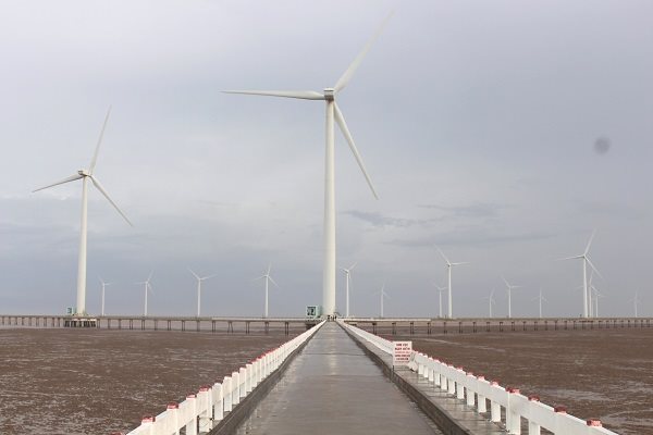 Sóc Trăng khởi công nhà máy điện gió công suất 65 MW