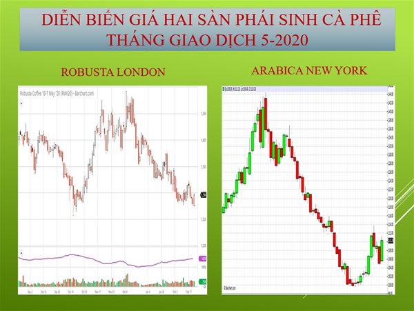 Giá xuất khẩu cà phê trong nước vẫn cầm cự tốt