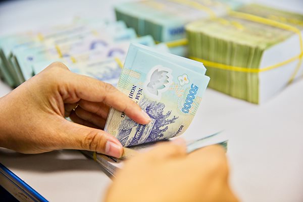 Mỹ có vội vàng khi đưa Việt Nam vào danh sách giám sát tiền tệ?