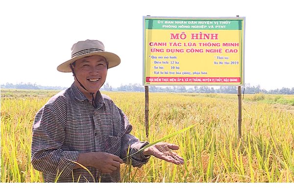 Nông dân Hậu Giang làm giàu với mô hình làm nông thông minh