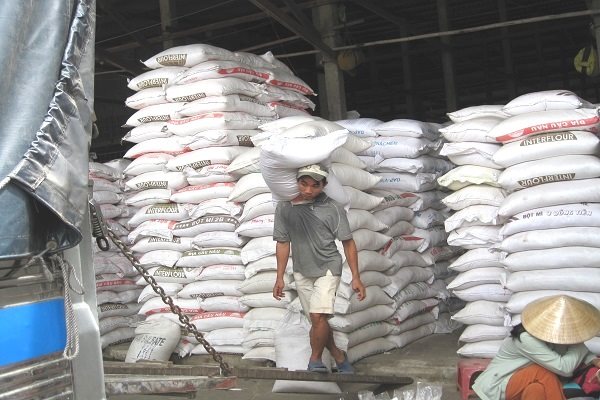 Doanh nghiệp ‘xù’ bán gạo dự trữ, nhưng tích cực đăng ký xuất khẩu