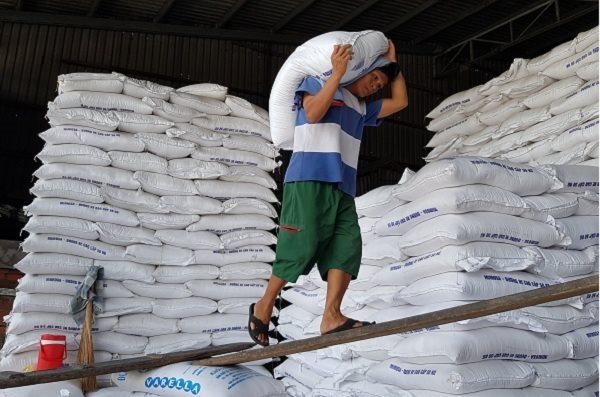 Chính phủ thanh tra việc xuất khẩu gạo