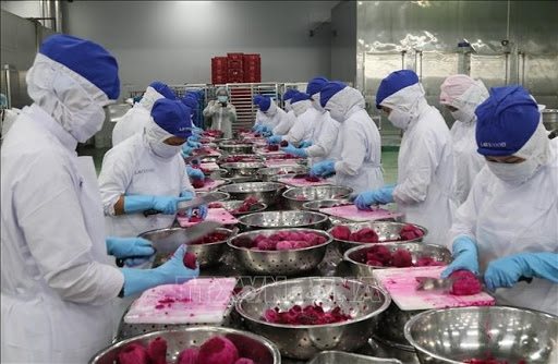 Nhiều doanh nghiệp chọn giải pháp bảo vệ thay vì cắt giảm lao động
