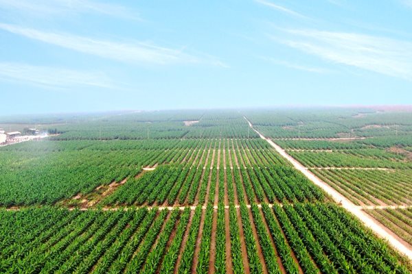 Tỉ phú Trần Bá Dương đã rót bao nhiêu tiền vào công ty của bầu Đức?