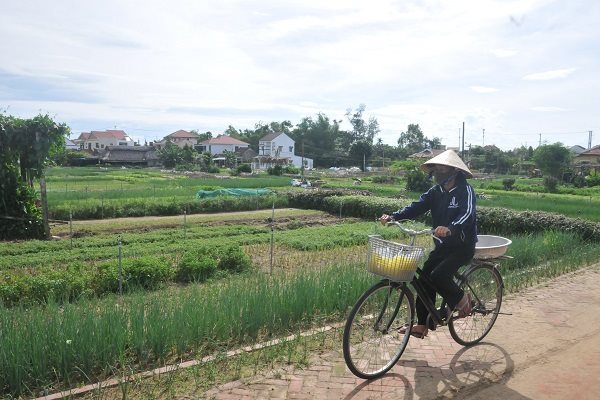 Khách sạn, homestay bị EVN làm khó về ưu đãi giá điện Khách sạn, homestay bị EVN làm khó về ưu đãi giá điện