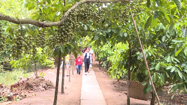 Du lịch Hậu Giang mở đường vượt qua đại dịch
