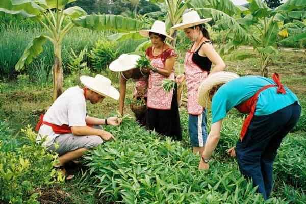 Cách Làm Giàu ở Nông Thôn Với Mô Hình Du Lịch Trải Nghiệm