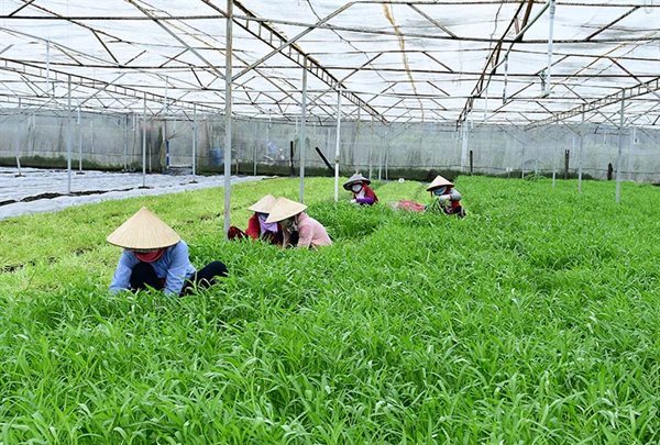 Thủ tướng yêu cầu tạm dừng thanh tra dự án của Vinamit tại Bình Dương