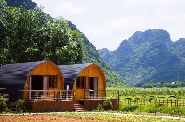 Lạc bước tới 5 farmstay Đà Lạt đẹp như mơ  trải nghiệm thú vị vui quên  lối về