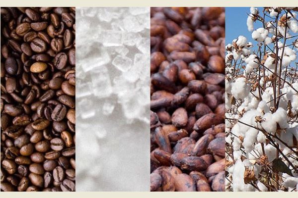 'Hàng hóa mềm' từ cacao cho đến cà phê đồng loạt tăng giá