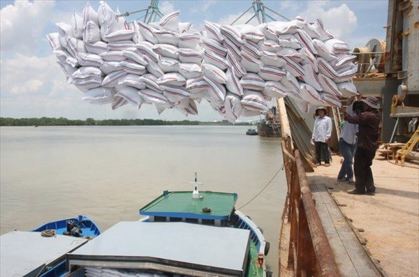 Gạo Việt Nam đạt giá cao nhất trên thị trường thế giới