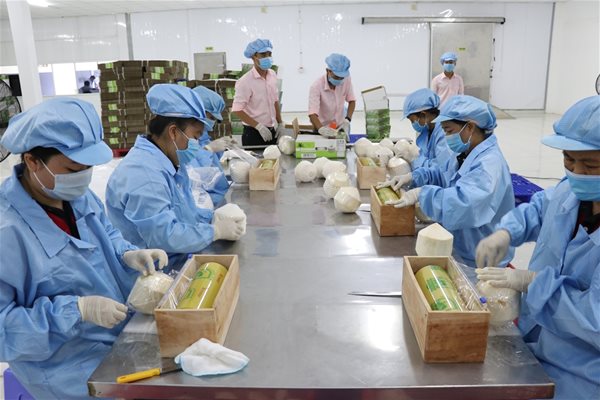 Việt Nam vẫn nhập siêu từ các thị trường có FTA