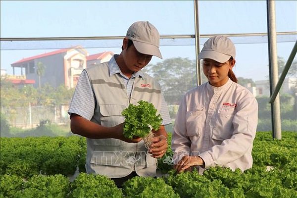 Cần hiến pháp gia đình để ‘lót đường’ cho quá trình chuyển giao thế hệ doanh nhân