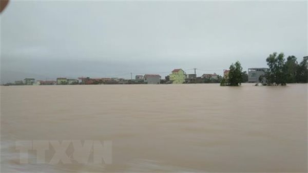 Không phải rừng nào cũng... là rừng