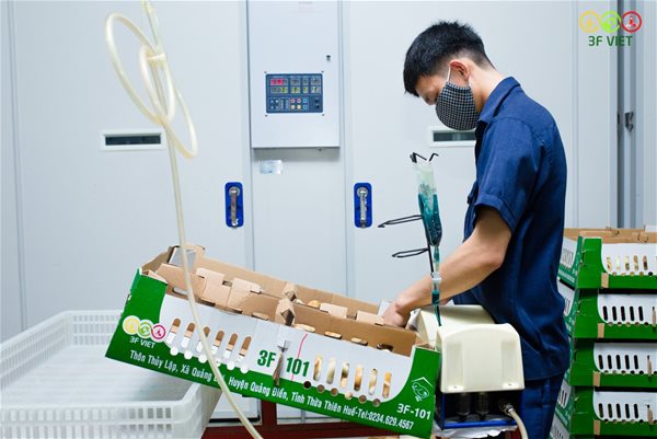 Masan hoàn tất thâu tóm công ty thịt gia cầm