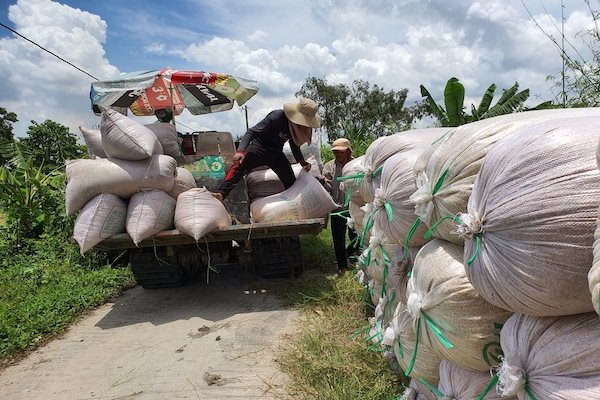 ‘Gánh’ sứ mệnh an ninh lương thực, ĐBSCL đối mặt nguy cơ chậm phát triển