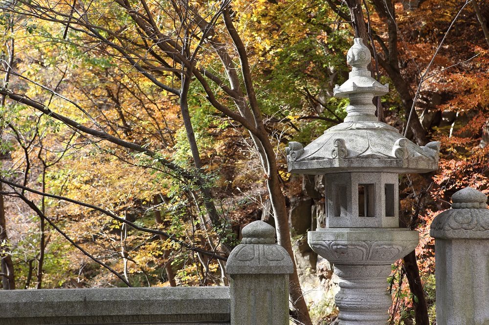 Những điều tuyệt vời nhất mùa thu Daegu Những điều tuyệt vời nhất mùa thu Daegu