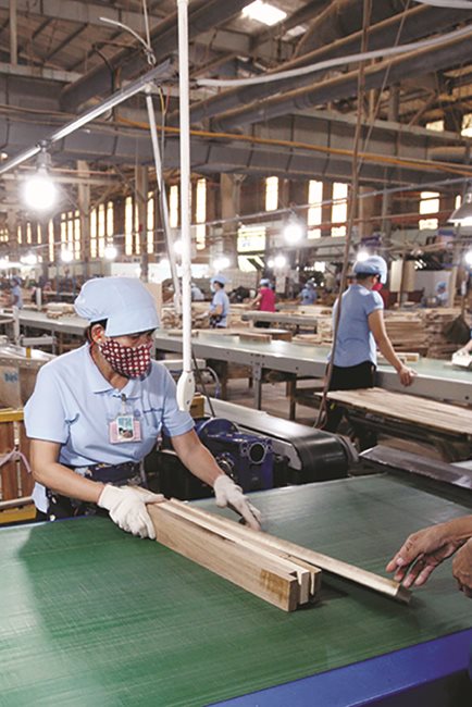 Phát triển kinh tế tư nhân để nâng cao hiệu quả FDI