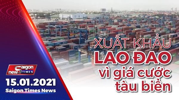 Toàn cảnh xuất khẩu lao đao vì giá cước tàu biển