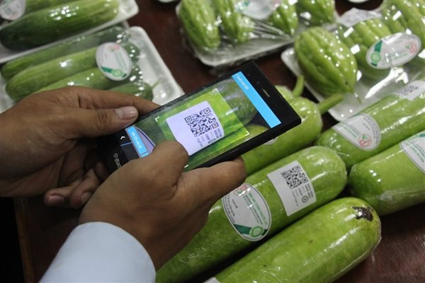 Trái cây xuất khẩu vào Trung Quốc sắp phải gắn mã QR