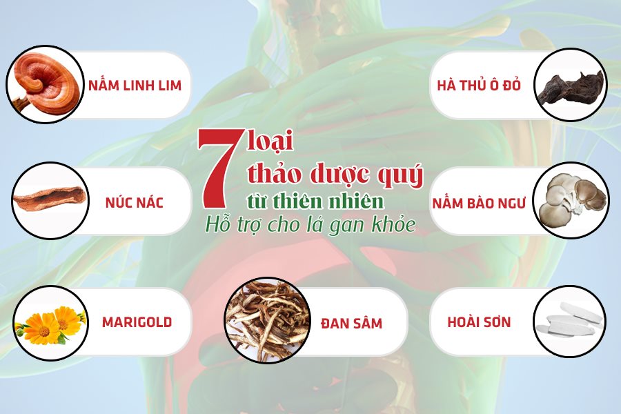 Naturenz Gold - 26 năm tìm kiếm công thức bảo vệ toàn diện lá gan của các nhà khoa học Việt