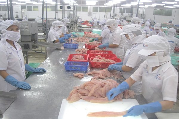 Việt Nam đưa cá da trơn xuất khẩu quay lại thị trường Campuchia