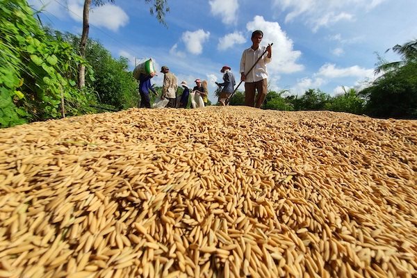 Việt Nam bán nhiều nông sản cho Trung Quốc nhưng chưa hiểu rõ thị trường này