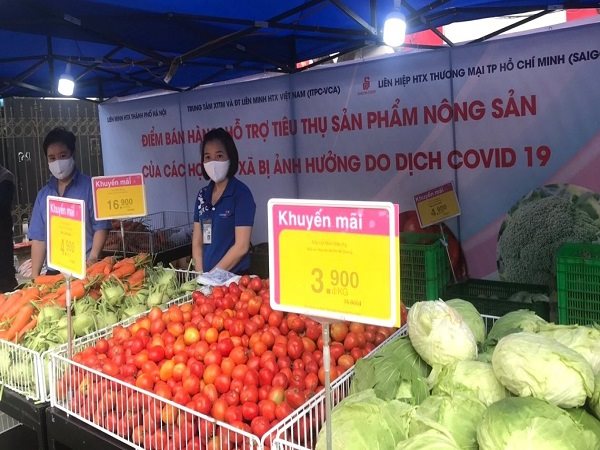 Siêu thị ở Hà Nội và TPHCM vào cuộc 'giải cứu' nông sản Hải Dương