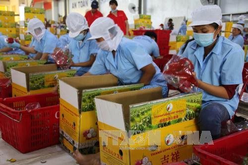Kim ngạch thương mại Việt Nam-UAE tăng trưởng mạnh hai tháng đầu năm