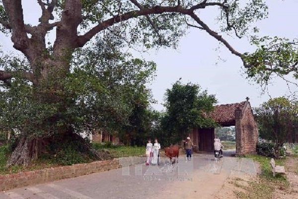 Sơn Tây được kiến nghị nâng cấp lên thành phố thuộc Hà Nội