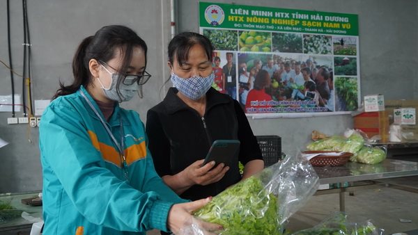 Hành trình từ 'giải cứu' nông sản đến xúc tiến thương mại xuyên biên giới