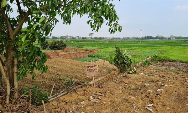 Theo dõi sát dòng tín dụng vào bất động sản, chứng khoán