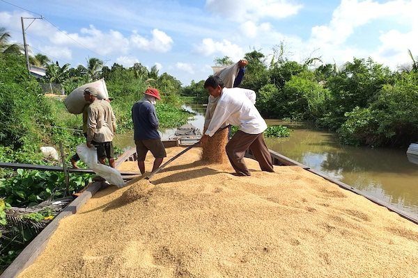 Thách thức dài hạn cho ngành nông nghiệp thực phẩm Việt Nam