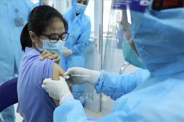 Có bao nhiêu công ty ở Việt Nam được nhập khẩu vaccine?