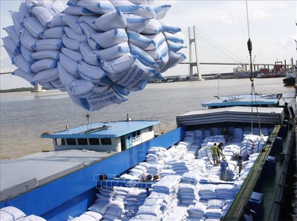 Bộ NN&PTNT dự báo xuất khẩu gạo tiếp tục tăng cao trong năm nay