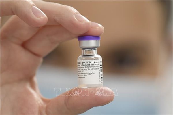 31 triệu liều vaccine Covid-19 của Pfizer sẽ về Việt Nam từ quí 3