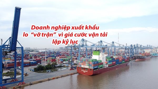 Doanh nghiệp xuất khẩu lo “vỡ trận” vì giá cước vận tải lập kỷ lục