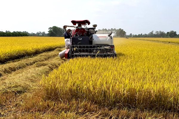 Lộc Trời cam kết mức giá sàn mua lúa và không tăng giá vật tư nông nghiệp