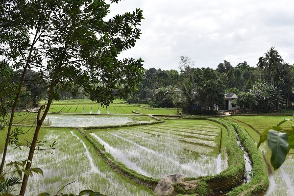 Doanh nghiệp tại Quảng Nam phát triển du lịch xanh, bền vững