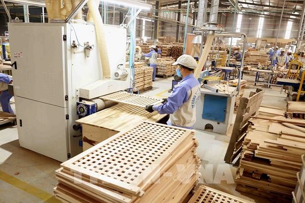 Ngành gỗ Bình Định thu hút nhiều dự án đầu tư